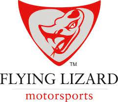 Flying Lizard